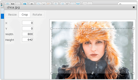 Integrated image editor