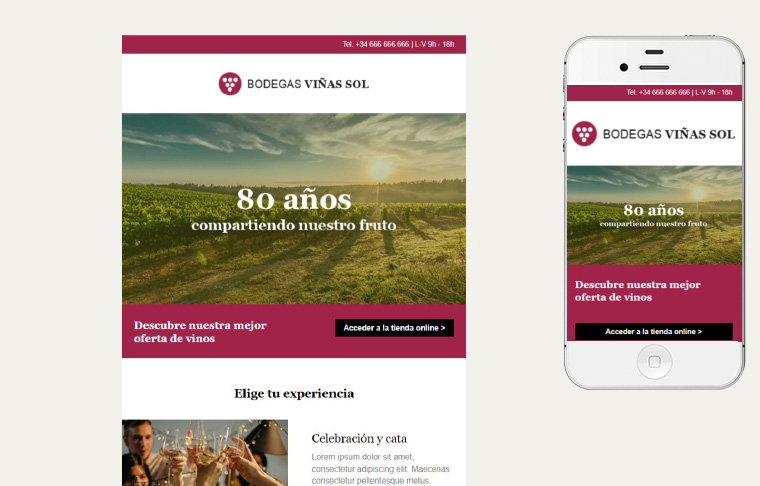 Plantilla de mailing - 